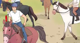 Play with Your Horse/Pony